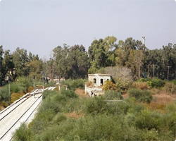 Qazazeh